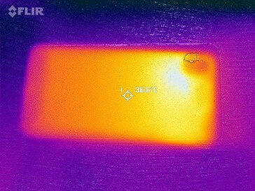 Mapa de calor trasero